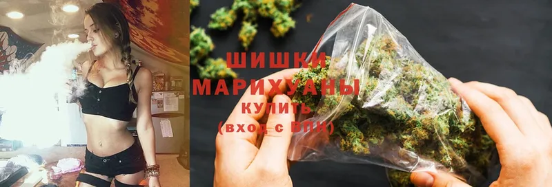 продажа наркотиков  Гаджиево  Бошки марихуана Bruce Banner 